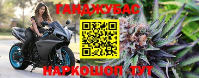гашик Аргун