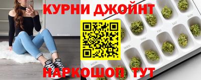 гашик Аргун