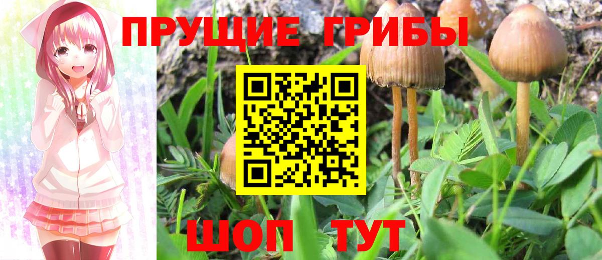 наркота  Галлюциногенные грибы Cubensis  Псилоцибиновые грибы Psilocybine cubensis  Вход с VPN  Бийск 