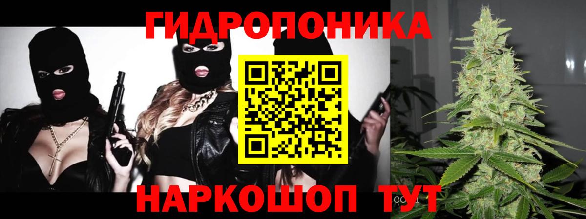 Марихуана Ganja  Вход с VPN  МАРИХУАНА план  Бийск  МАРИХУАНА Ganja 